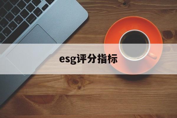 esg评分指标(essdai评分表)