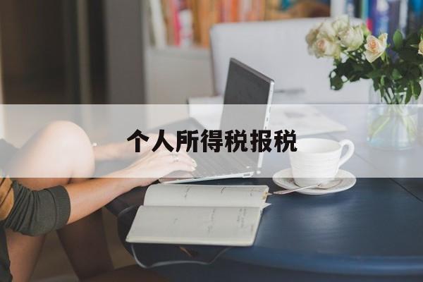 个人所得税报税(个人所得税报税赡养老人可以只填一个吗)