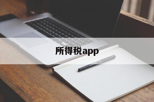 所得税app(怎样下载个人所得税app)